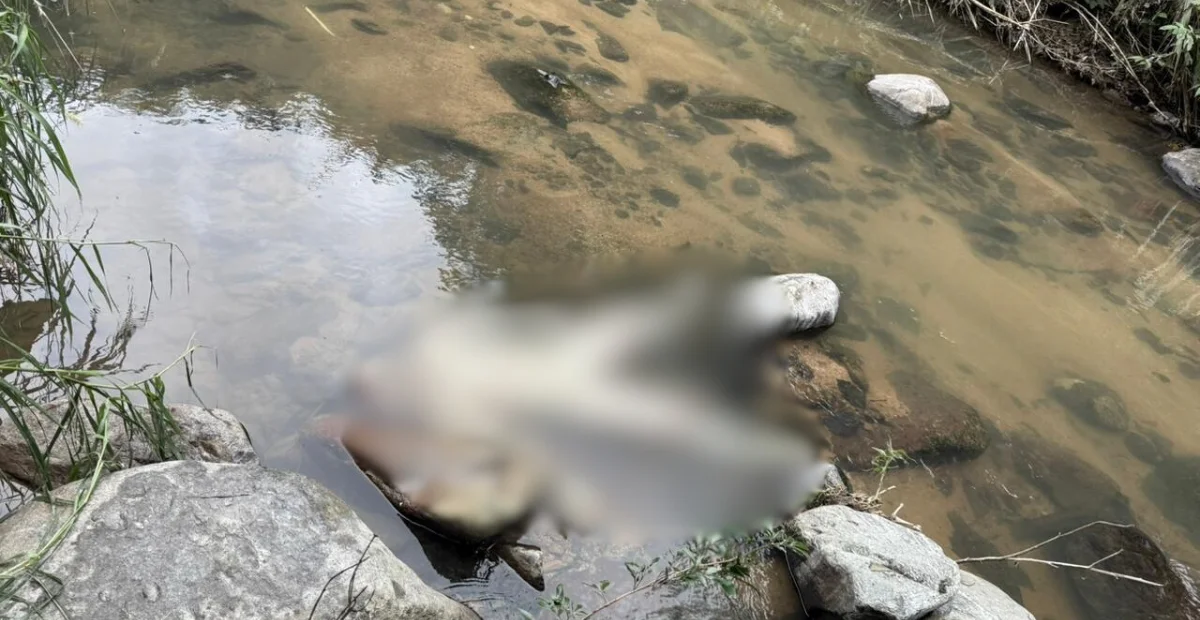 Lugar donde fue hallado el cuerpo en descomposición en el balneario El Pozo de Crispín, Pueblo Bello. Foto: Cortesía.