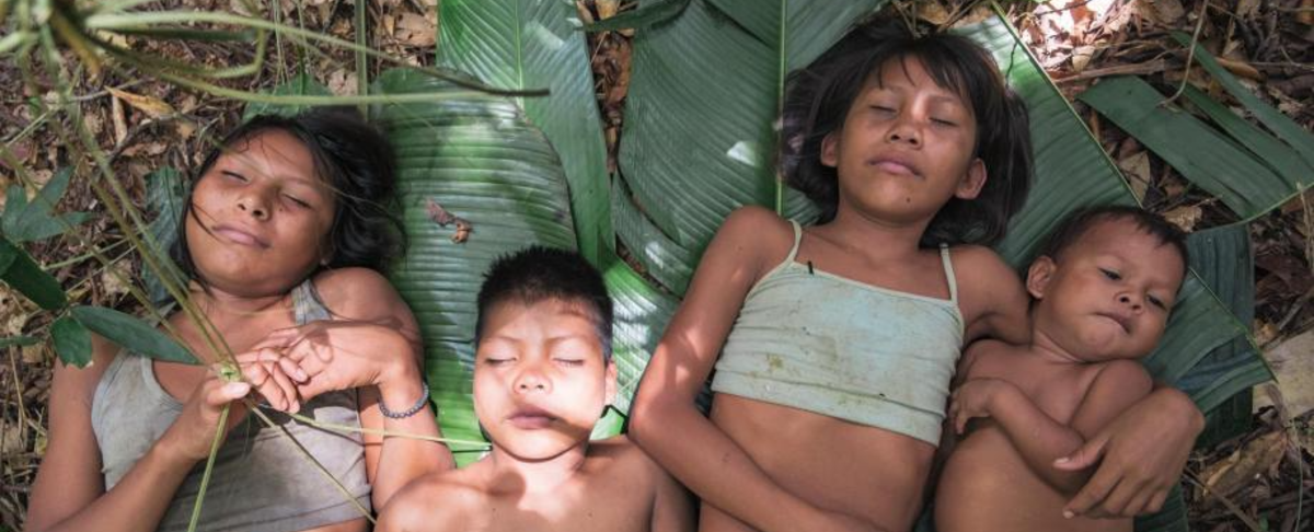 Perdidos en el Amazonas