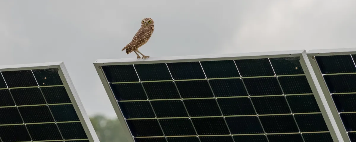 Drummond avanza en su compromiso con la reducción de emisiones y la transición energética en Colombia.