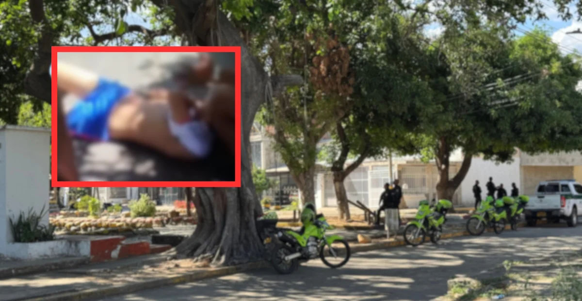 Las autoridades identificaron al joven que falleció en medio de un procedimiento policial registrado en el parque del barrio Manantial. Foto: cortesía.