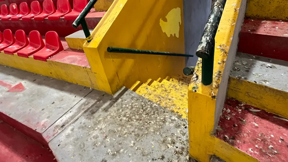 Algunas vías de acceso del Coliseo están llenas de desechos de paloma.