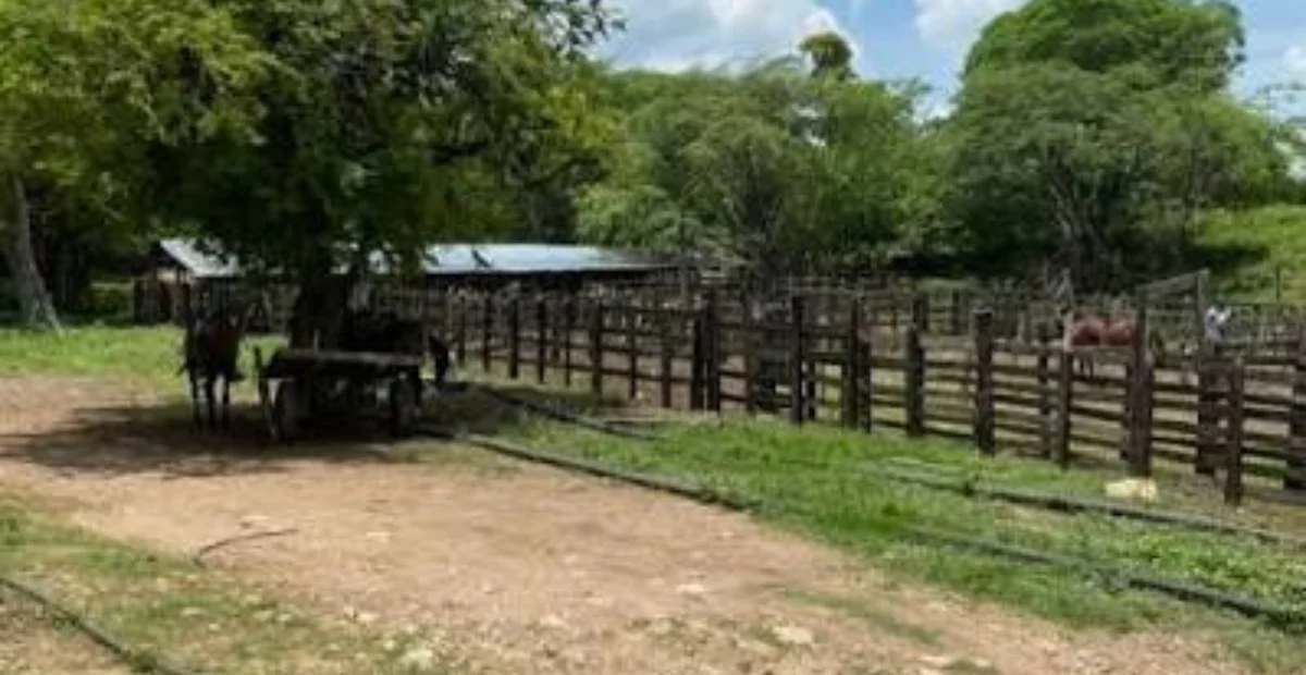 Finca zona rural de Agustín Codazzi, donde resultó herido el cuidador tras enfrentar a presuntos delincuentes. Foto: referencia.