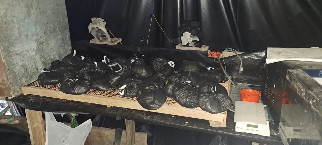 Fuerzas militares destruyen laboratorio cocalero del ELN en zona rural de Río de Oro, Cesar.