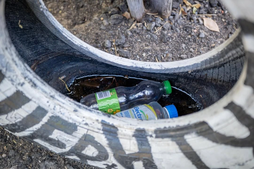 Llantas, tanques y baldes con agua estancada se convierten en criaderos perfectos del mosquito del dengue en Valledupar; autoridades insisten en eliminarlos cada semana para cortar la transmisión. Foto: Secretaría de Salud de Valledupar.