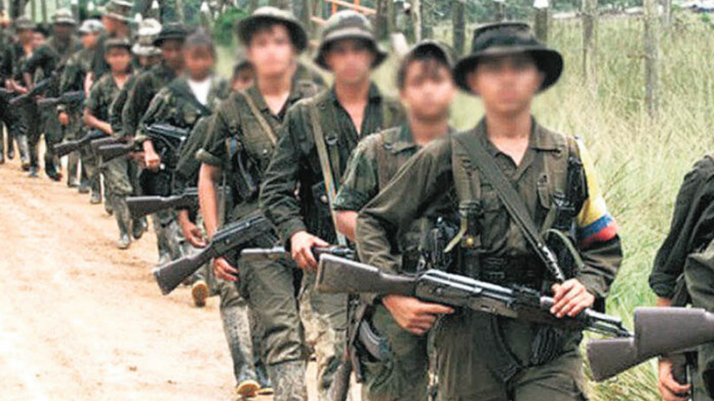 La fecha fue establecida en 2002 con la entrada en vigor del Protocolo Facultativo de la Convención sobre los Derechos del Niño.