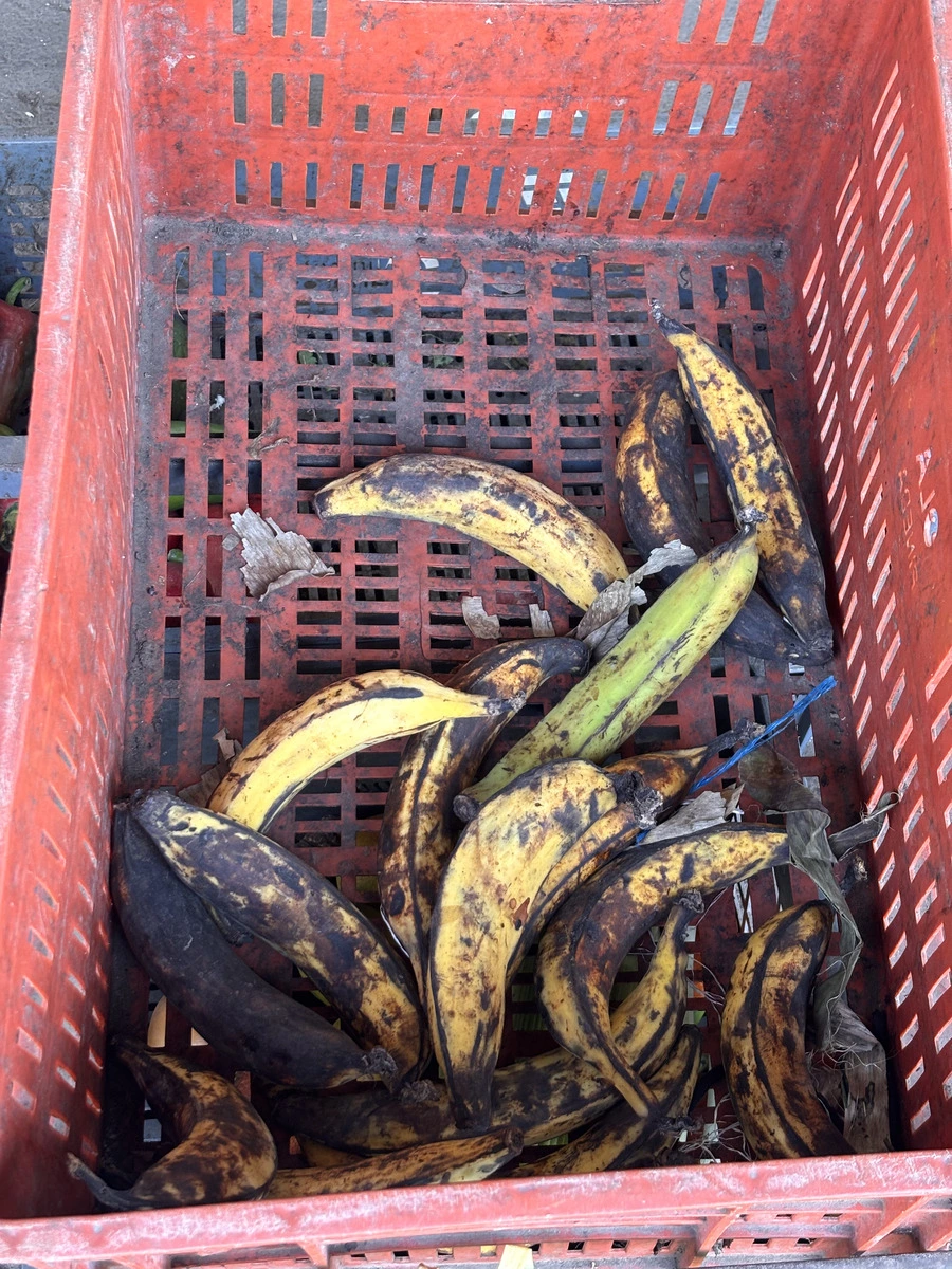 “Los platanitos, mira eso, son prácticamente puntillas y las venden como segunda; lo que antes era segunda ahora lo ponen por primera". Foto: EL PILÓN.