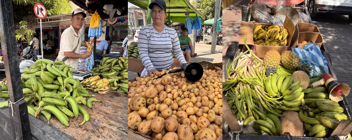 “Con solo plátano no alcanza”: vendedores del Mercado Público de Valledupar diversifican con guineo, papa y yuca para enfrentar el alza de precios tras las inundaciones en Córdoba. Foto: EL PILÓN.