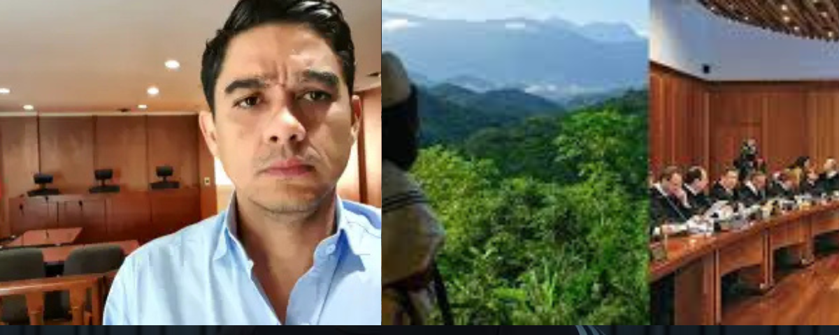 La delimitación de la Línea Negra en la Sierra Nevada de Santa Marta enfrenta un nuevo panorama jurídico.