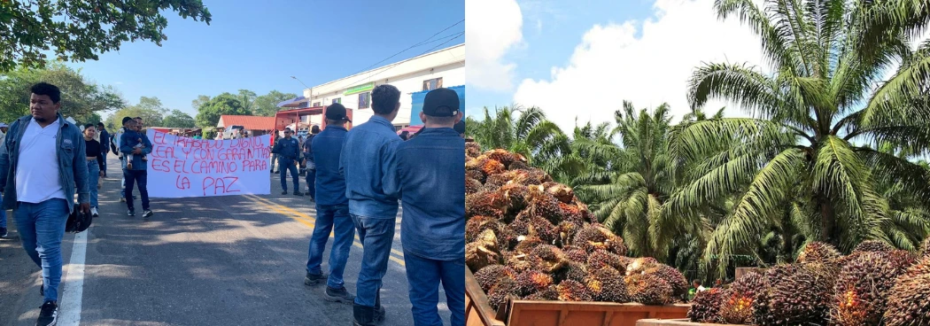 web-ANT habría ordenado a la hacienda La Gloria entregar 2.000 hectáreas, según trabajadores