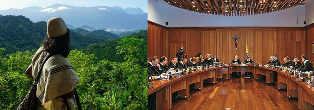 web-Consejo de Estado habría anulado la línea negra.