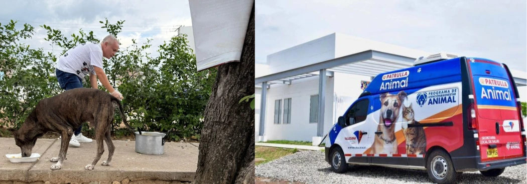 web-El bienestar animal es responsabilidad de todos en Valledupar.