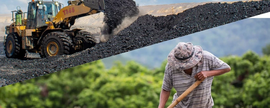 web-La economía del Cesar la mueven los servicios, el carbón y el Estado.