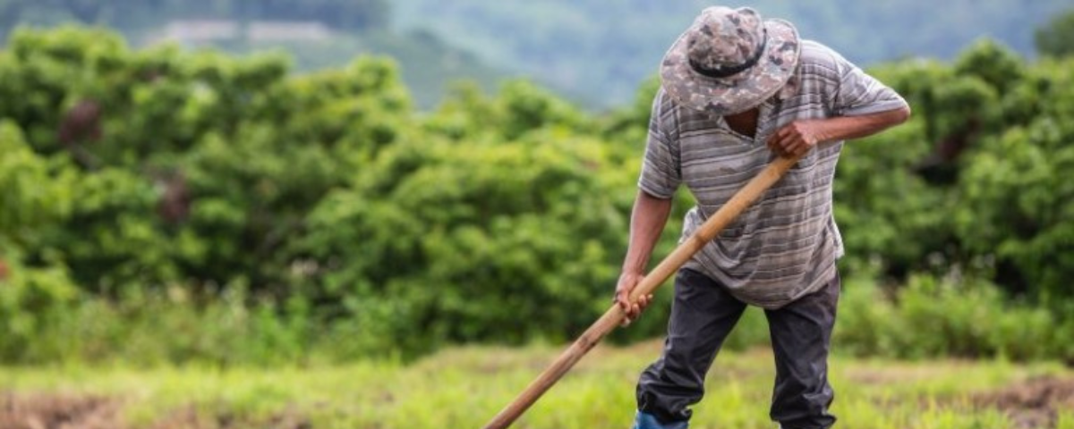 Esta medida se da en el marco de la emergencia económica.