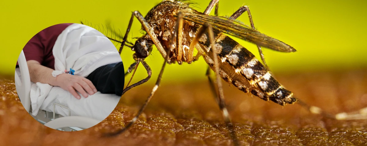 De acuerdo con el INS, a corte del 23 de febrero de 2026, el departamento acumula 1.486 casos.