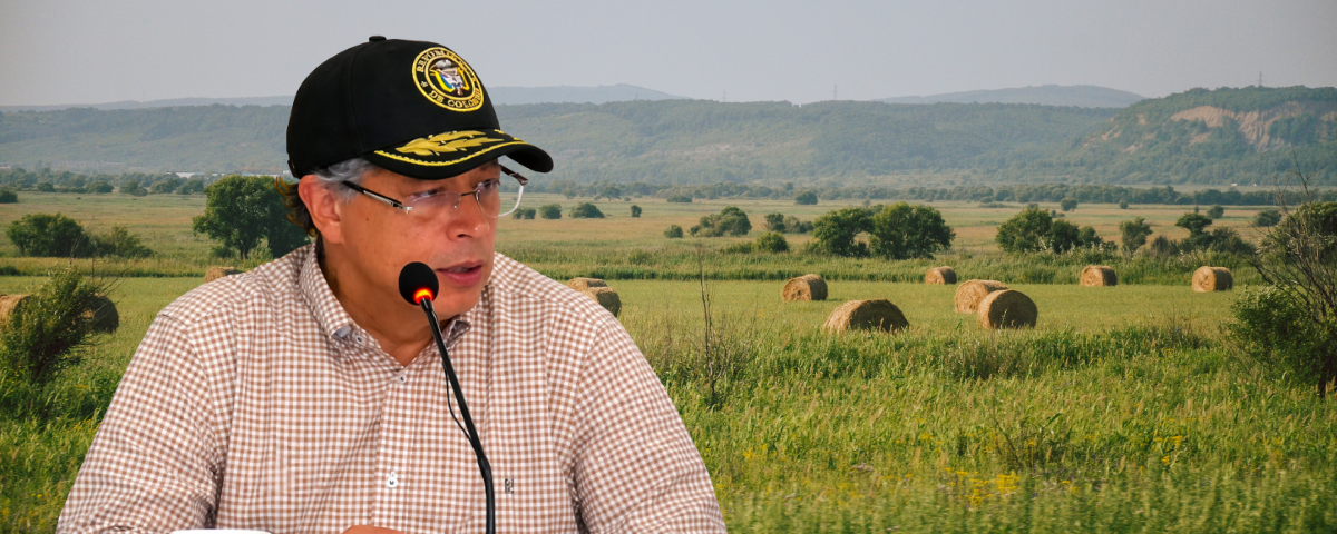 Este decreto busca eliminar la necesidad de un proceso judicial previo en situaciones de urgencia.