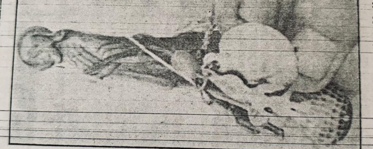 Chano Ayala siguió con la tradicional velación del Santico Hallao hasta su muerte.