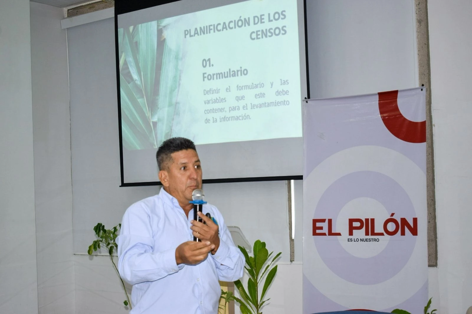 Cómo debe ser el censo de árboles en Valledupar: lecciones del modelo de Cali