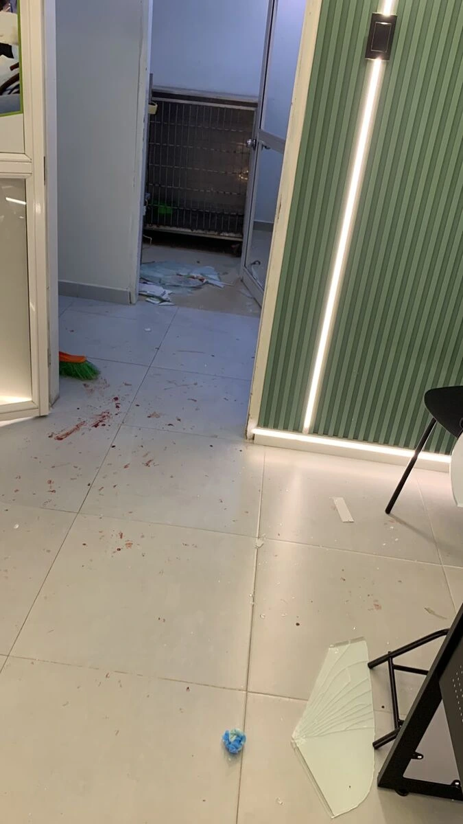 Puerta de vidrio y mobiliario interno de la veterinaria Pulgas con daños visibles, tras los momentos de tensión y la reacción de los tutores luego de conocer la muerte de Beba. Foto: Cortesía veterinaria.