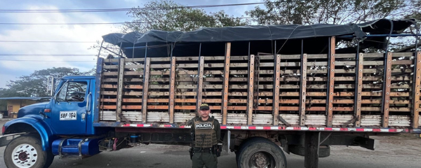 Tras el procedimiento, los animales fueron dejados a disposición de la Inspección de Policía, entidad que adelantará el proceso administrativo para definir su situación.