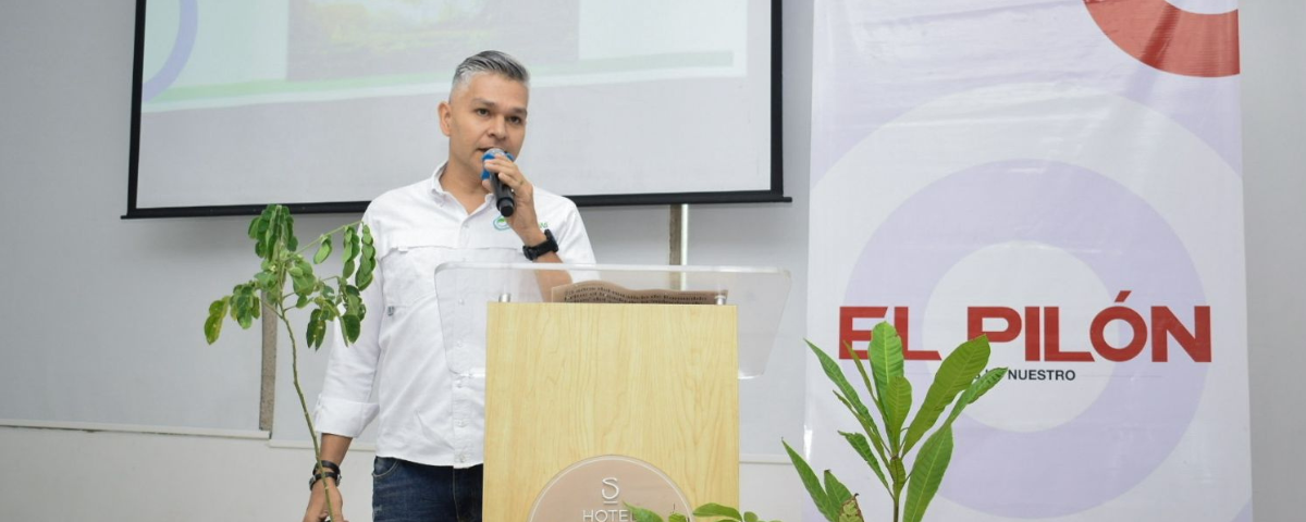 El reto de la planificación forestal urbana en Valledupar: entre especies nativas y riesgos estructurales