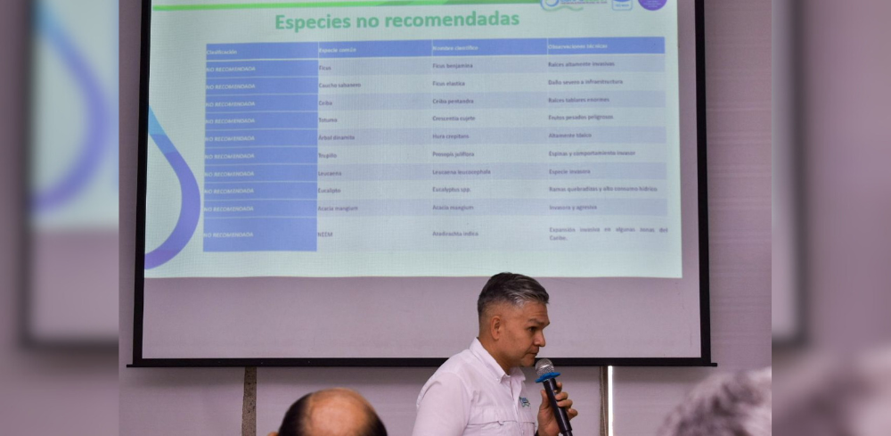  Por otro lado, el nim es catalogado como peligroso por su comportamiento invasivo y desarrollo acelerado, factores que alteran la química del suelo y afectan la biodiversidad local