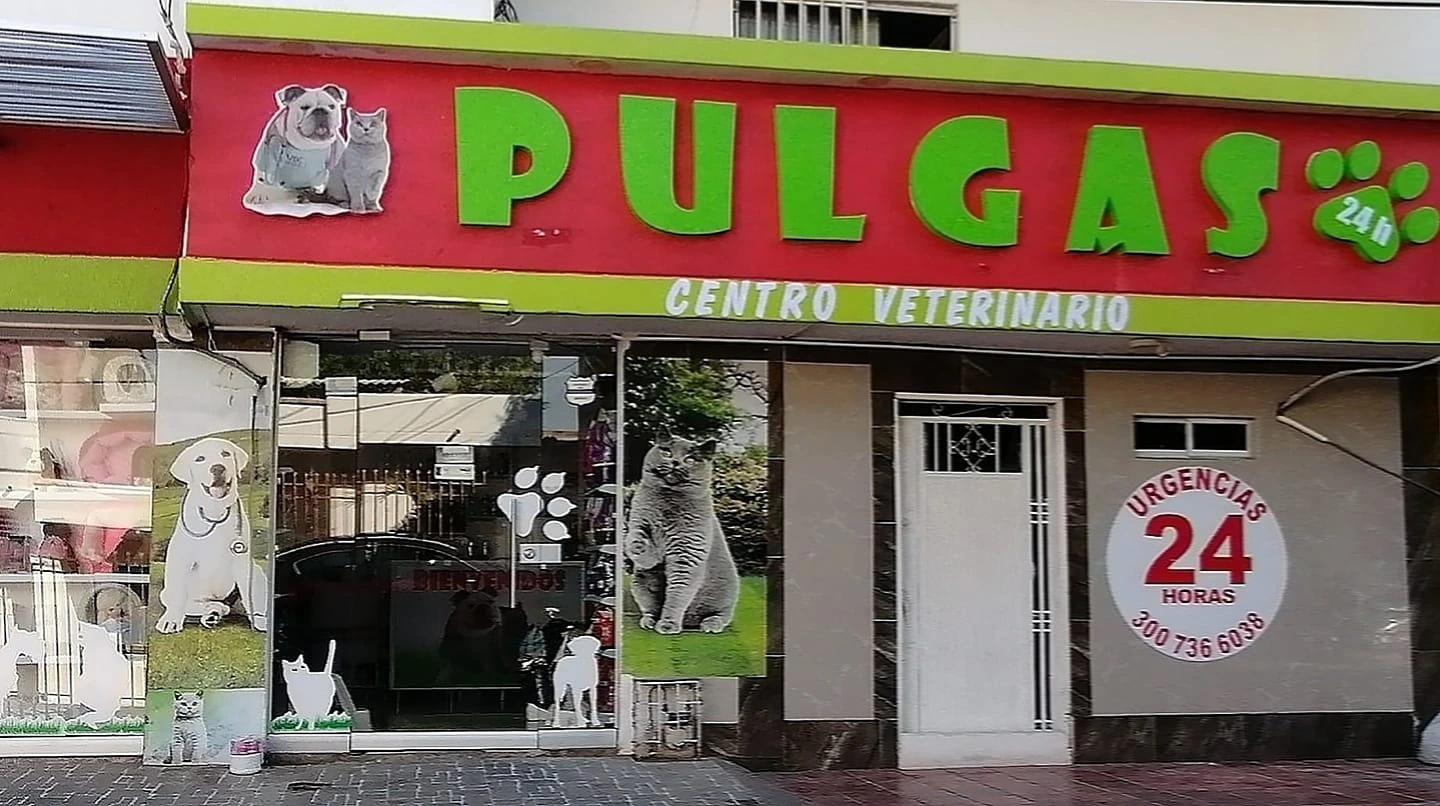 Fachada de la clínica veterinaria Pulgas, en Valledupar, donde se atendió a Beba, la bulldog embarazada que murió antes de una cesárea de emergencia. Foto: Cortesía veterinaria.