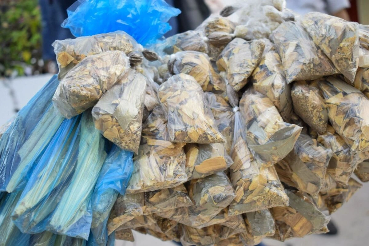 Paqueticos de sahumerio listos para la venta, con mezclas de Palo Santo, eucalipto, incienso y mirra que perfuman los hogares vallenatos. Foto: Said Armenta.