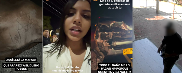 Durante ese encuentro, el abogado asegura que el reclamante le mostró la marca con la que supuestamente se identificaba el animal, pero sostiene que no corresponde a su ganado.