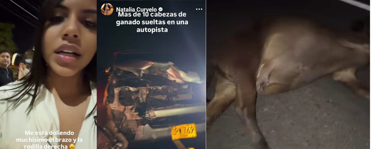 “Dios es muy grande”: Natalia Curvelo se pronuncia tras chocar con una vaca en carreteras del Cesar