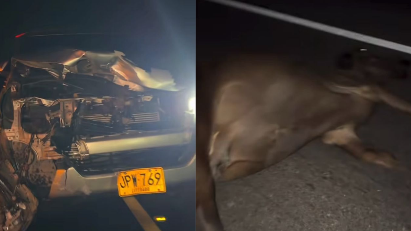 Natalia Curvelo sufrió un accidente