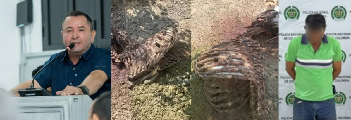 secretario de Seguridad de Valledupar denuncia impunidad por abigeato