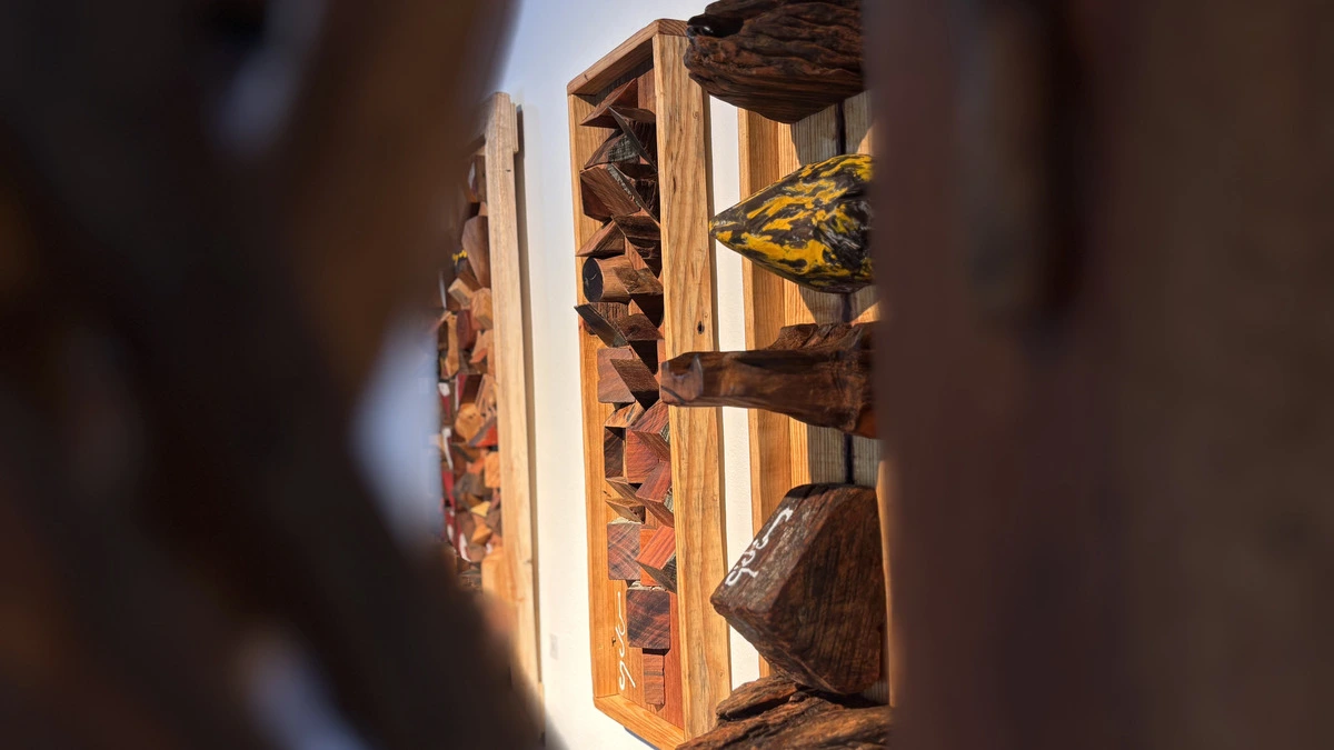 Conjunto de esculturas en madera de artistas vallenatos que dialogan con el paisaje y la memoria del territorio en la exposición “Es-cultura”, abierta con entrada libre durante toda la semana. F0to: EL PILÓN