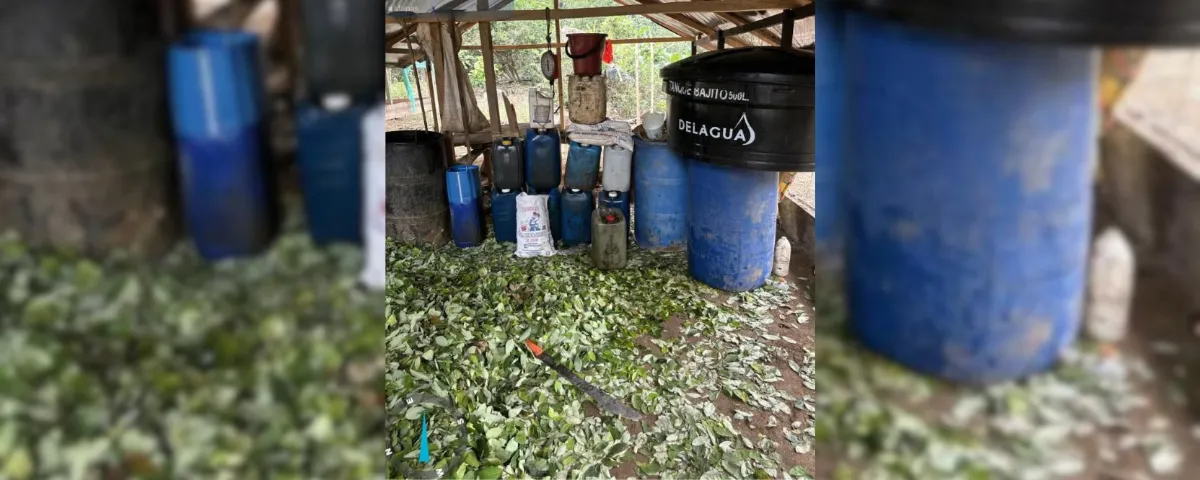 En el mismo sector, las autoridades también ubicaron un semillero con aproximadamente 2.000 plántulas de coca, lo que confirma la existencia de toda una cadena de producción ilícita en esta zona del departamento.