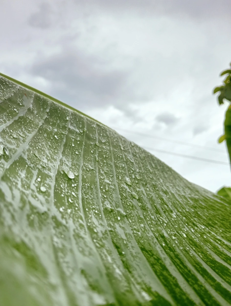 Fuertes aguaceros sobre Valledupar en medio del inicio de la temporada de lluvias, mientras las autoridades mantienen la vigilancia por posibles crecientes en ríos y caños de la región. Foto: Archivo