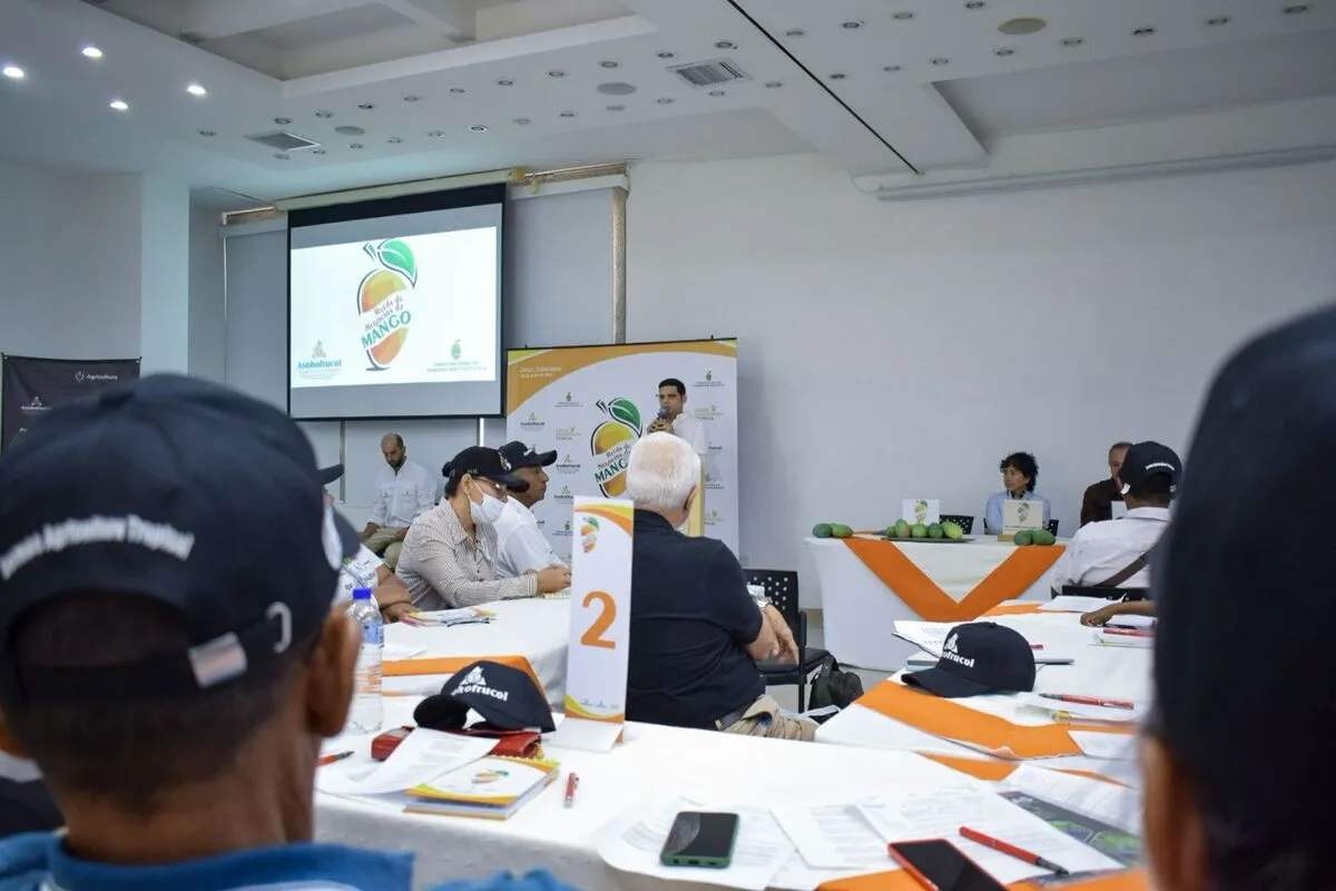 Productores de distintos municipios del Cesar participaron en la rueda de negocios de mango realizada en Valledupar, en la que se promovió el potencial exportador del fruto hacia la Unión Europea. Foto: Said Armenta.