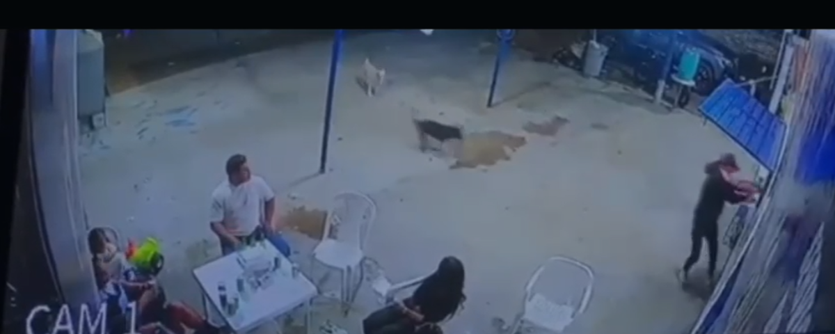 Tras el ataque, los presuntos agresores intentaron huir, pero fueron arrollados por un vehículo.