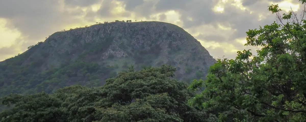 Cerro Pantanillo, Caracolí. Foto: Said Armenta.