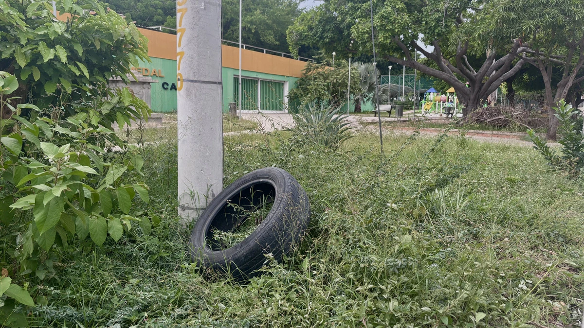 Llantas abandonadas en el caño del humedal María Camila Sur se convierten en criaderos del mosquito transmisor del dengue. Foto: EL PILÓN.