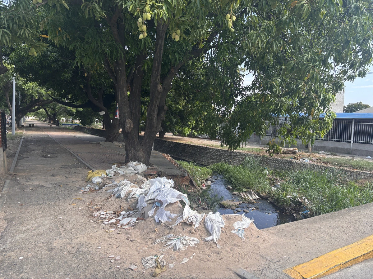 Los sacos de arena que la Alcaldía instaló como muros de contención ya están vaciados y no cumplen ninguna función de protección, según denuncian los habitantes del sector. Foto: EL PILÓN.