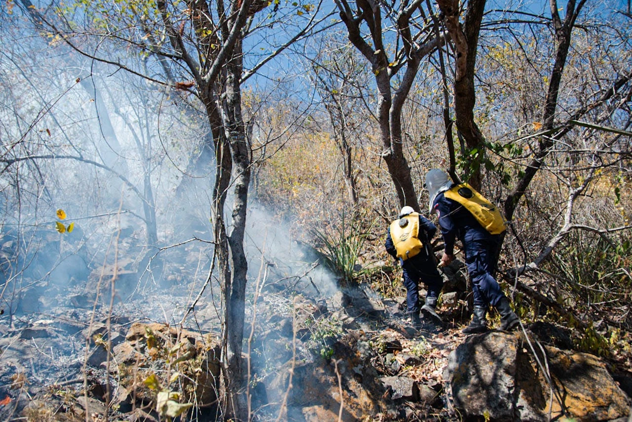 Incendio de cobertura vegetal en zona rural del Cesar, agravado por la sequía y las altas temperaturas. Foto: EL PILÓN.
