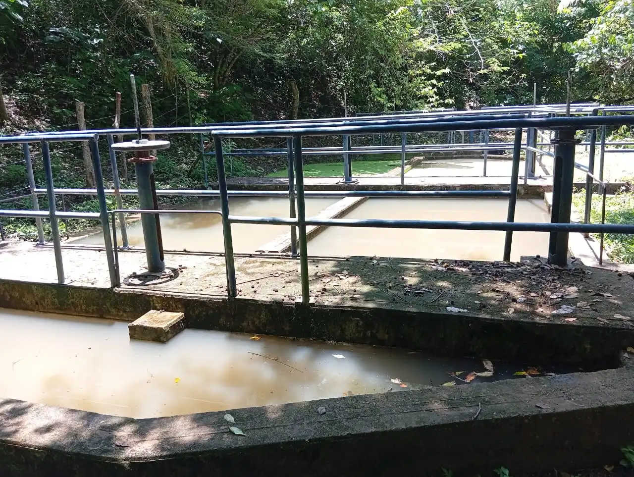 Agua turbia que recolectan los habitantes de Los Venados, producto del deterioro de la planta de tratamiento y la mala calidad del servicio de acueducto rural en medio de la temporada de altas temperaturas y sequía. Foto: Cortesía.