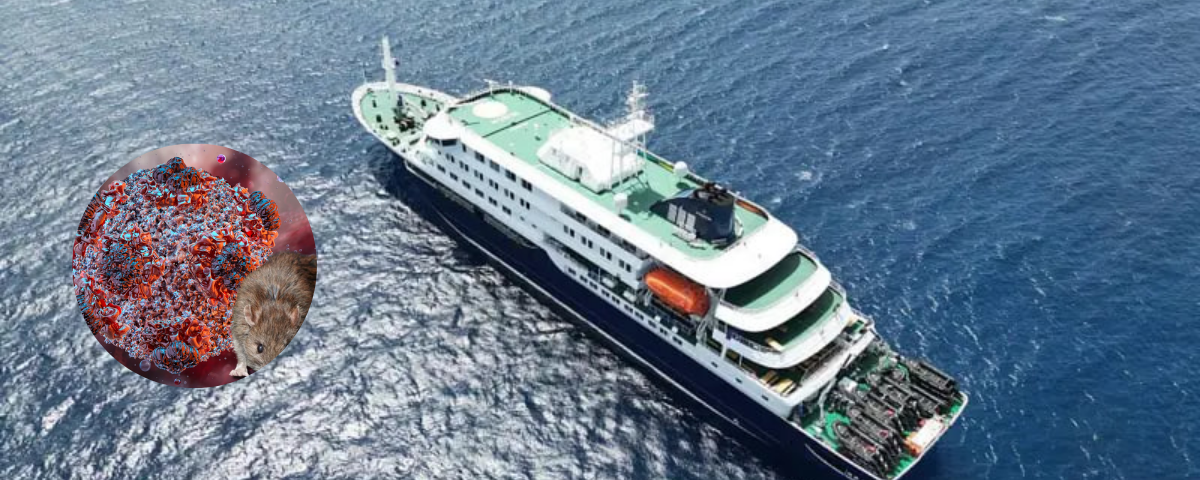 El hantavirus que provocó la muerte de tres personas a bordo del crucero MV Hondius. Foto tomada de página: sana.sy