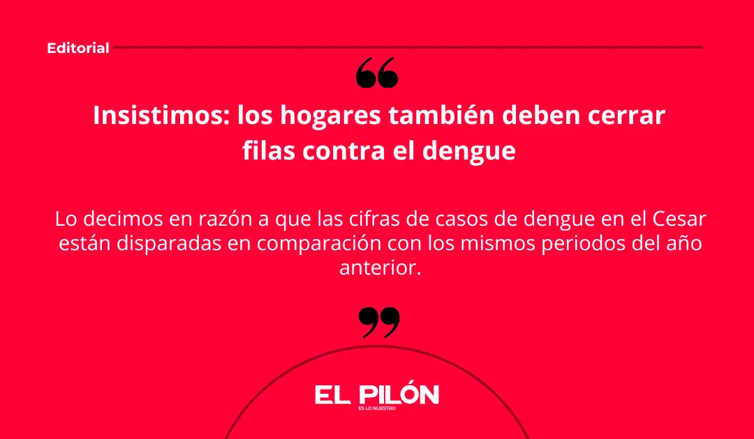 Insistimos: los hogares también deben cerrar filas contra el dengue