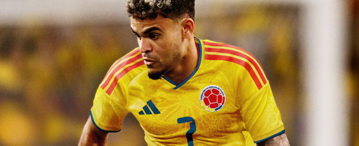 Camiseta de la Selección Colombia.