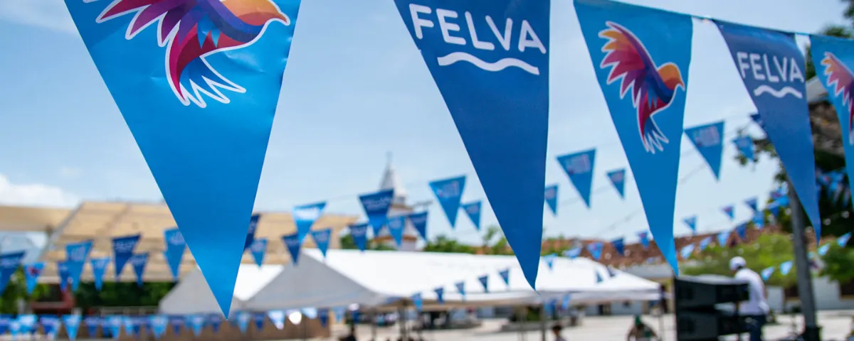 Libros, títeres y música se toman la Plaza Alfonso López en Felva 2026