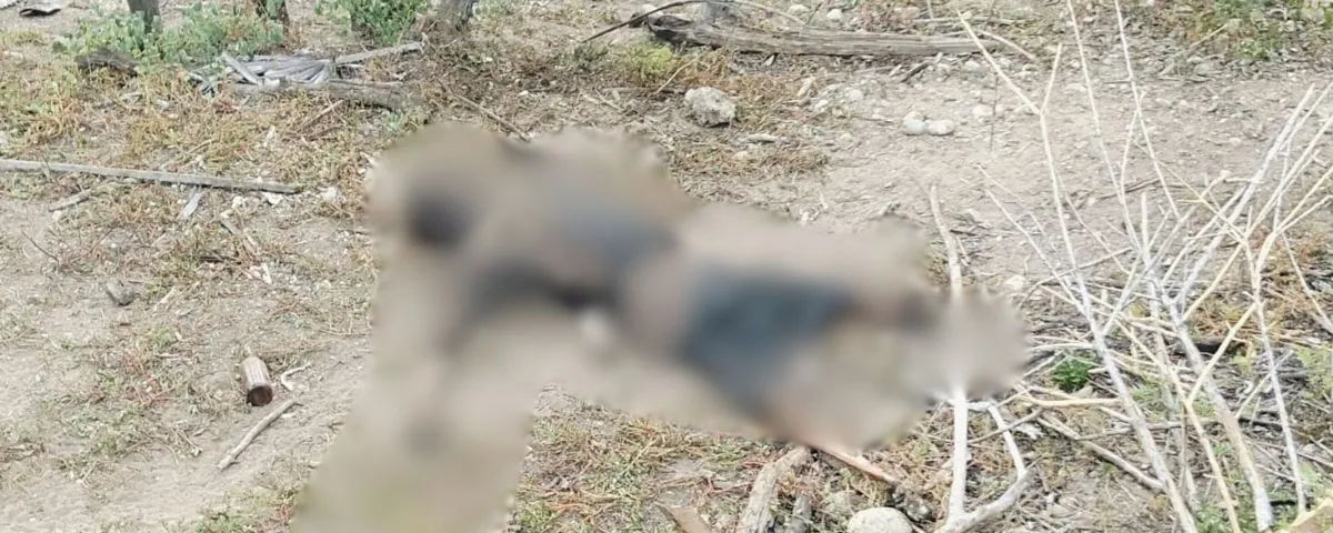 Misterio en zona rural de Valledupar por el hallazgo de un cuerpo en descomposición: esto es lo que se sabe