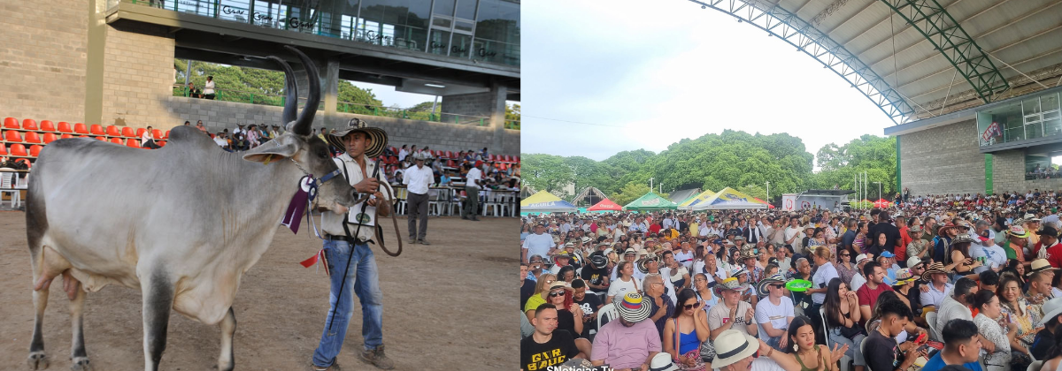 Feria-Ganadera-de-Valledupar-web