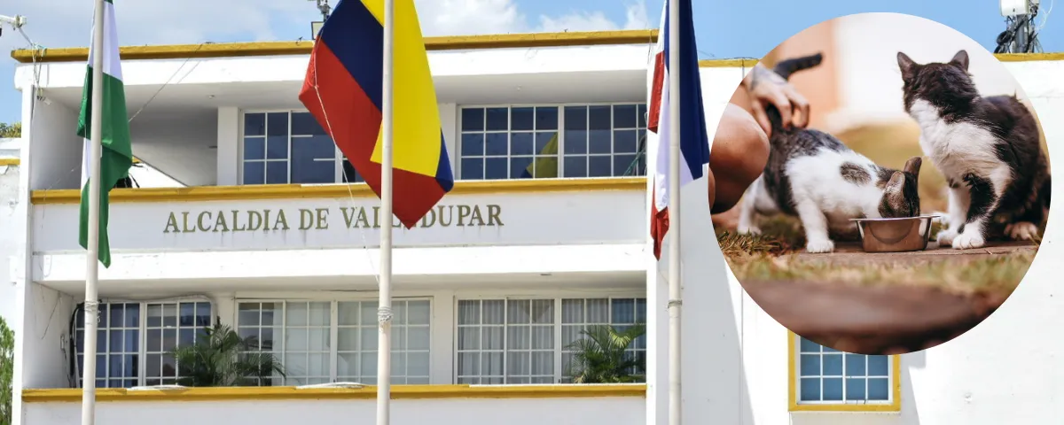 Dueño lleva a su perro a la jornada gratuita de esterilización en Lorenzo Morales, Valledupar