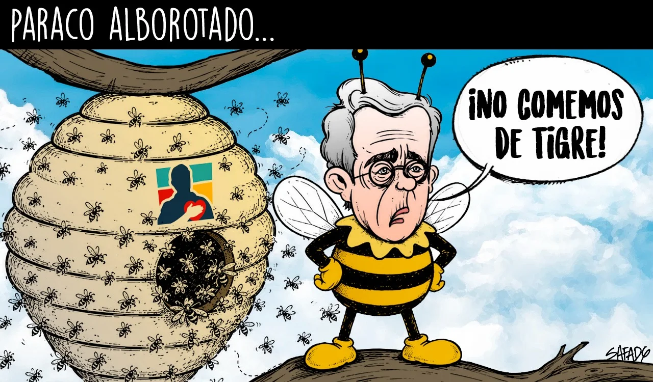Paraco alborotado…