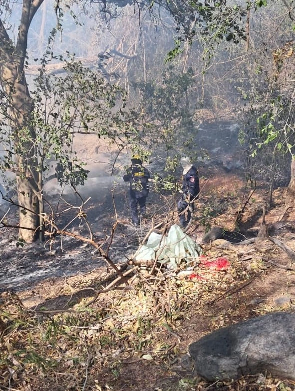 Bomberos del Cuerpo de Bomberos Voluntarios de Valledupar trabajaron para controlar el incendio registrado en el lote enmontado detrás de la planta de DPA/Nestlé, sobre la carrera cuarta. Foto: Cuerpo de Bomberos Voluntarios de Valledupar.